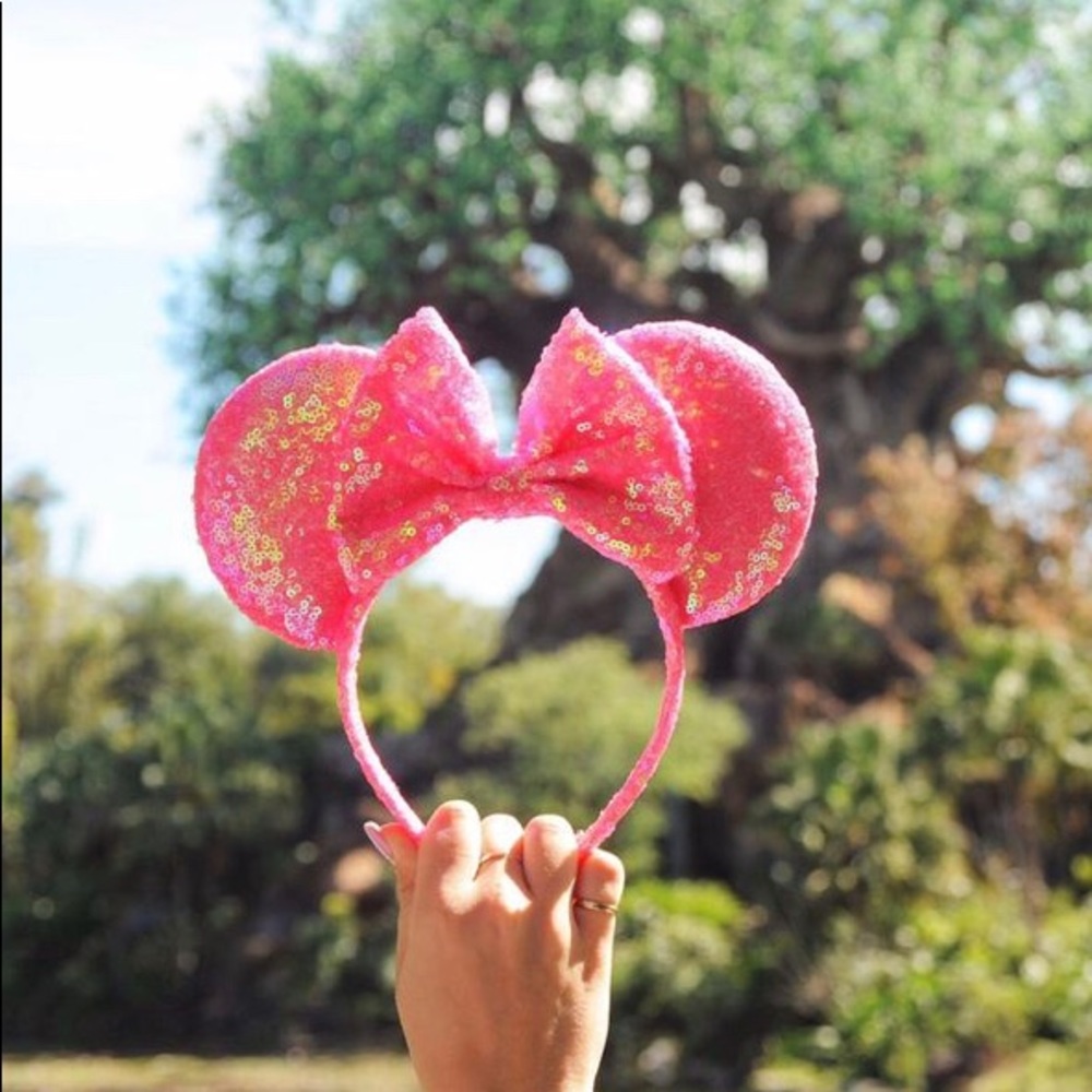 Disney Ears & Shirt